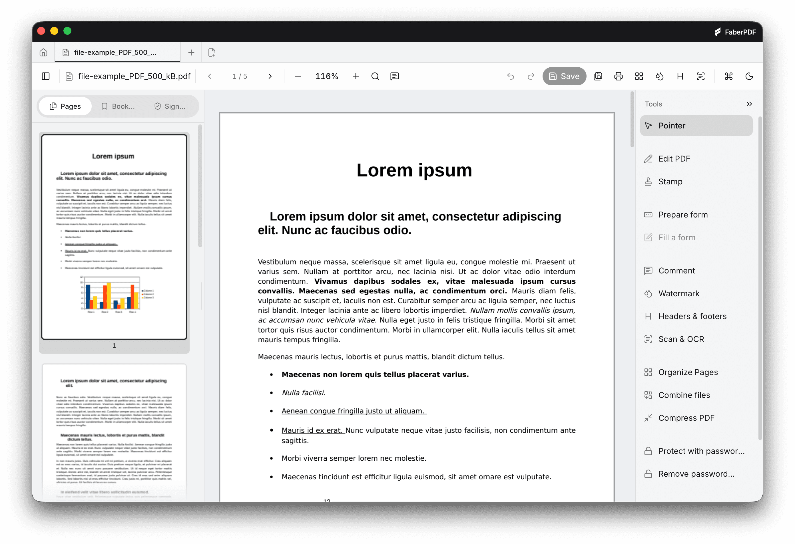FaberPDF editor with an open PDF